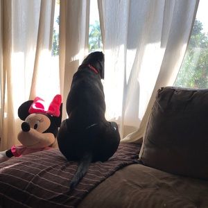 Meet your Posher, Alyssa